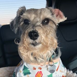 Meet your Posher, Sam